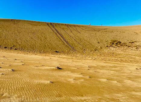 鳥取砂丘 鳥取,鳥取砂丘,鳥取県の写真素材