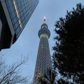 スカイツリー スカイツリーの写真