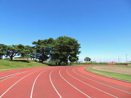 陸上競技場のトラック(夏) 陸上競技場のトラック(夏) 陸上競技場,トラック,競技場の写真素材