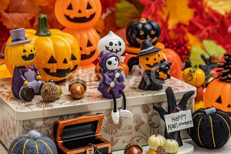 ハロウィーン｜骸骨お化けと仲間たち ハロウィン,ゴースト,骸骨の写真素材