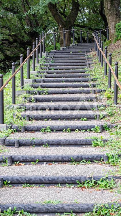 権現堂の階段 埼玉県,幸手市,幸手権現堂の写真素材
