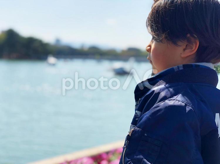 たたずむ少年と池 子供,横顔,公園の写真素材