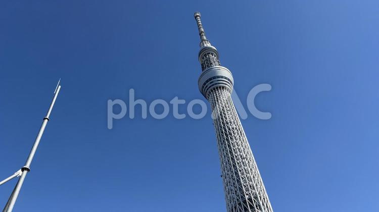 スカイツリー スカイツリー,skytree,空の写真素材