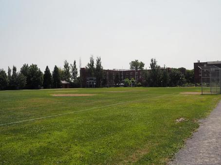 アメリカンフットボール用の芝生コート アメフト,アメリカンフットボール,フットボールの写真素材