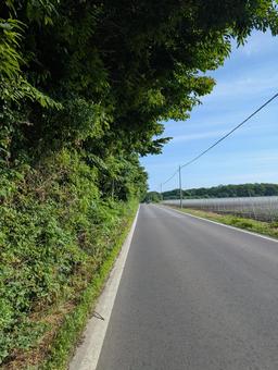 道路 道路の写真
