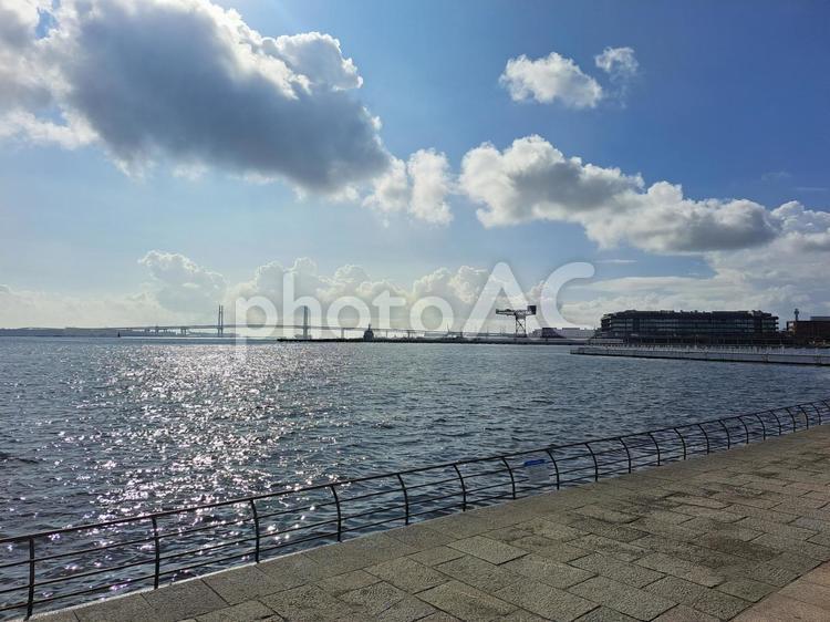 臨港パークと横浜ベイブリッジ 海,海沿い,晴れの写真素材