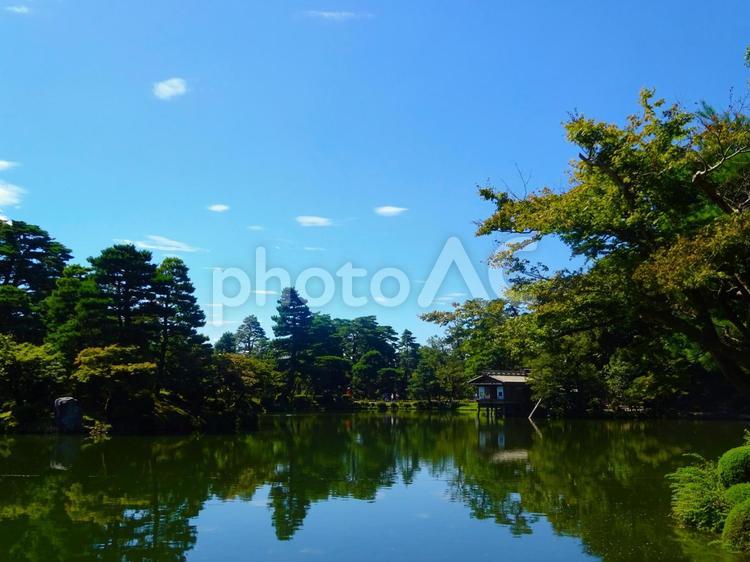 兼六園の中の池 池,木,樹木の写真素材