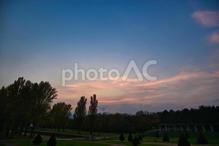 前田森林公園の夕景 夕焼け,前田森林公園,ポプラ並木の写真素材
