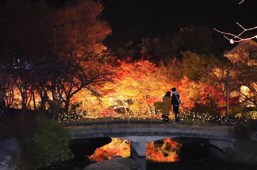 イルミネーション 夫婦 イルミネーション 夫婦の写真