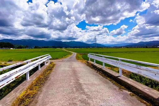 2025年8月の里山7 2025年8月の里山7 用水路,橋,ガードレールの写真素材
