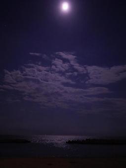 月夜の渚 月夜の渚の写真