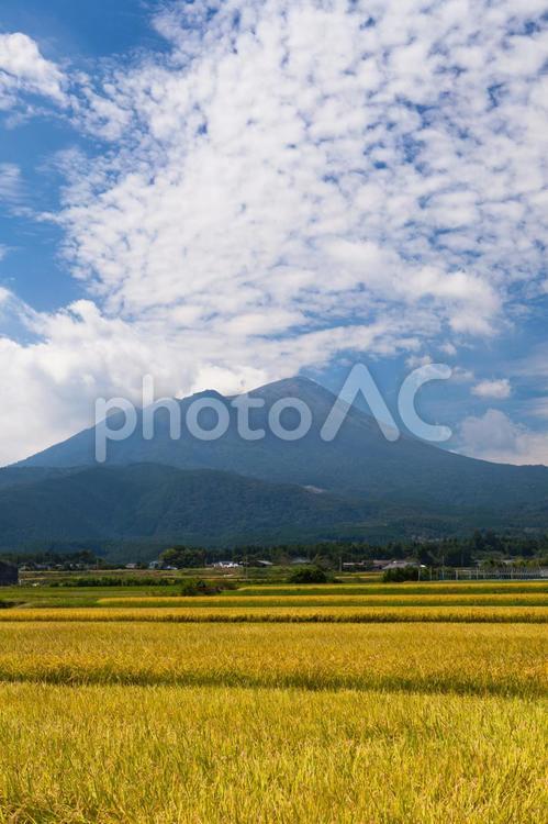 田園風景と高千穂峰 田園風景,水田,田園の写真素材