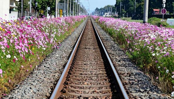 コスモス鉄道 コスモス鉄道の写真