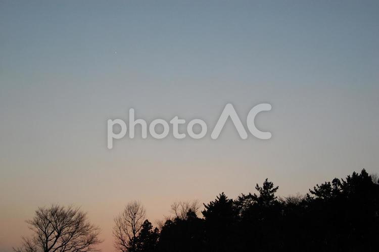 夕暮れの森 夕暮れ,陽が沈む,薄暗いの写真素材