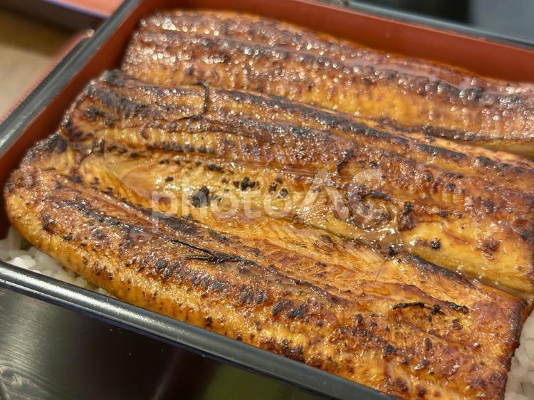 炭火で焼かれた鰻が輝く豪華うな重 うな重,蒲焼き,香ばしさの写真素材