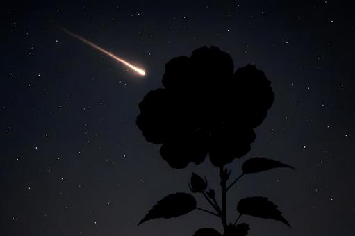 花と流れ星のシルエット 花と流れ星のシルエットの写真