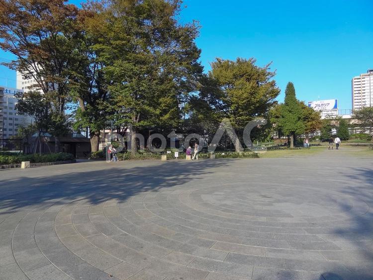 浜町公園の広場 浜町公園,中央区日本橋浜町,晴れの写真素材