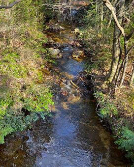 晩秋の風景 秋,晩秋,木の写真素材
