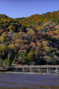 京都　嵐山　渡月橋　紅葉 嵐山,渡月橋,桂川の写真素材