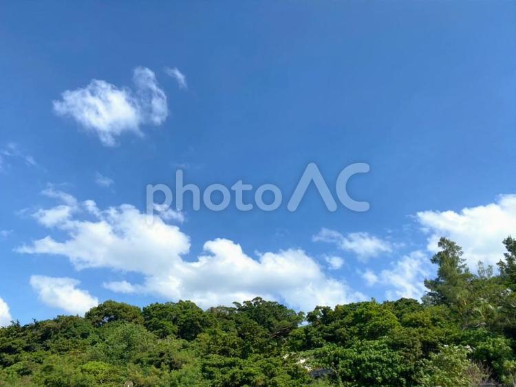 風景-背景-森と青空 青空,空,森の写真素材
