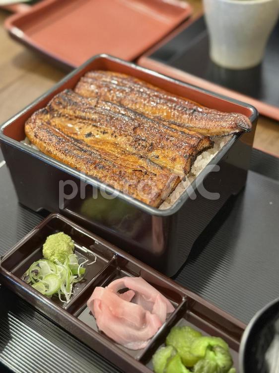 うなぎ専門店の上質なうな重 うな重,うなぎ,蒲焼きの写真素材