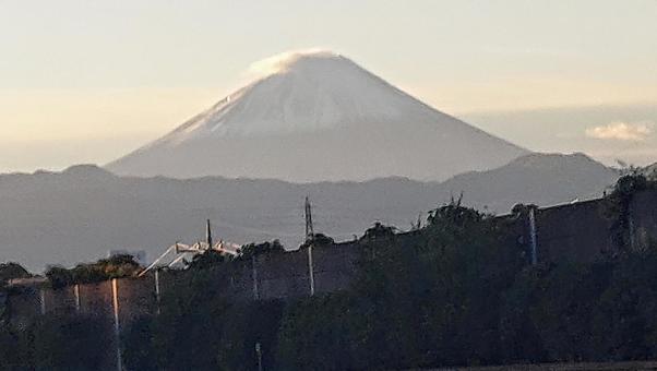 Photo, fuji mountain, morning glow, early morning, 