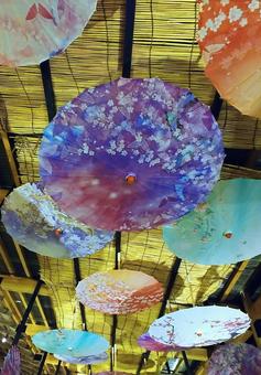夜の和傘飾り/由志園 和傘,飾り,和傘祭りの写真素材