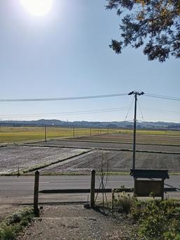 稲刈り後 稲刈り,田んぼ,田舎の写真素材