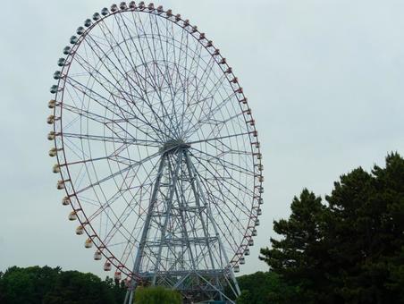 観覧車 観覧車 観覧車,風景,大きいの写真素材