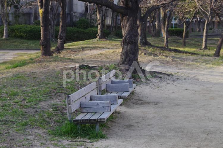 夕方の大川桜ノ宮河川敷公園のベンチ ベンチ,大阪,大川の写真素材