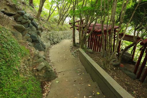八幡浜市　愛宕山王照院　鳥居と遊歩道 愛宕山王照院,愛宕山,神社の写真素材