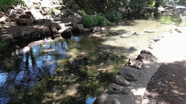 せせらぎ 家族連れ,行楽,癒しの写真素材