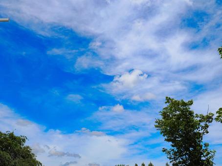 青い空と白い雲 青い空と白い雲の写真