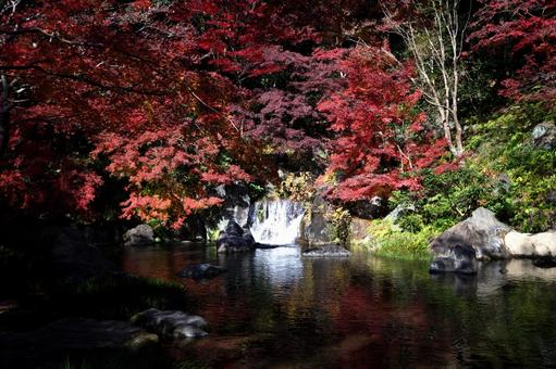 水面に映る紅葉 水面に映る紅葉の写真