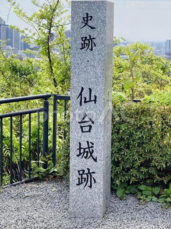 仙台城跡石碑 仙台城跡,石碑,青葉城跡の写真素材