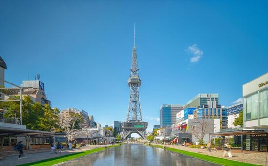 名古屋テレビ塔・春桜満開 名古屋テレビ塔,名古屋,テレビ塔の写真素材