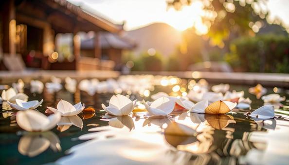 ぼかしと反射が織りなす水上の花びら ぼかしと反射が織りなす水上の花びらの写真