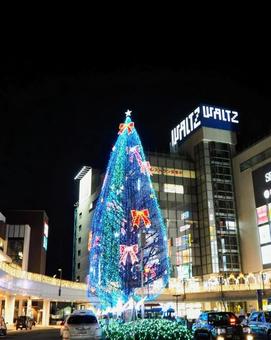 所沢駅・駅前のクリスマスツリー（所沢市） 冬,クリスマス,イルミネーションの写真素材