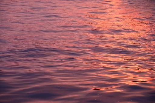 キラキラした水面 キラキラした水面の写真