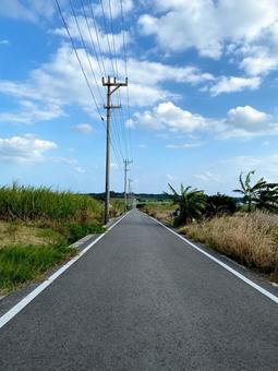 沖縄の道の写真