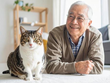 ネコ ネコの写真