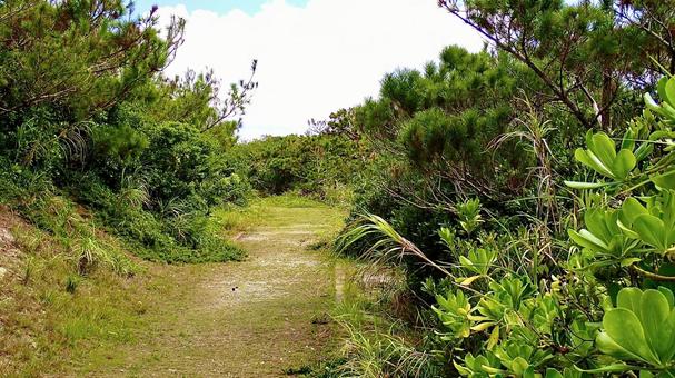 Mihanahara Promenade in the Kerama Islands of Tokashiki Island, Okinawa Prefecture, JPG
