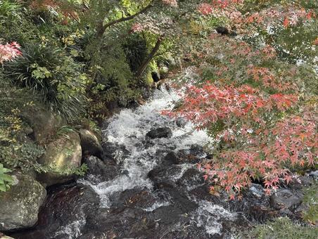 紅葉とせせらぎの写真