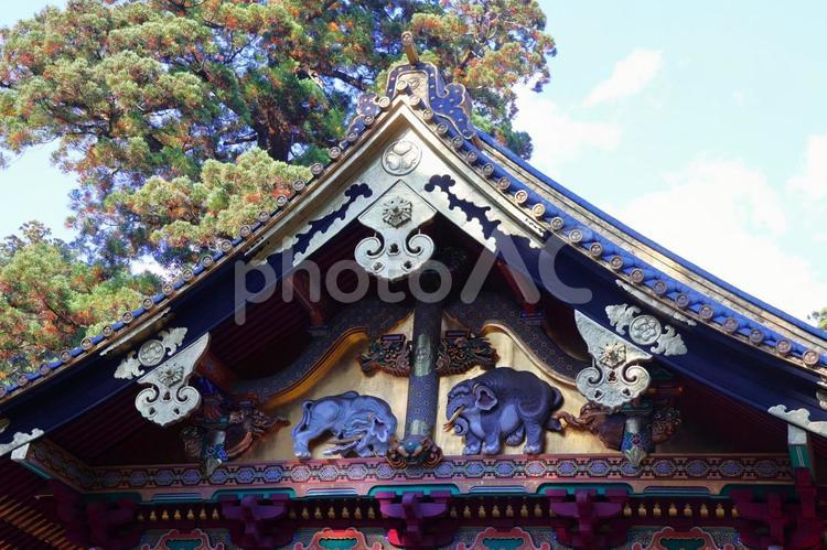 １１月上旬の日光東照宮の風景 背景,日光東照宮,境内の写真素材