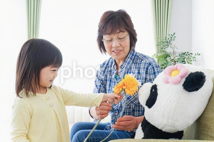 祖母に花をあげる子ども 女児,幼児,小さいの写真素材