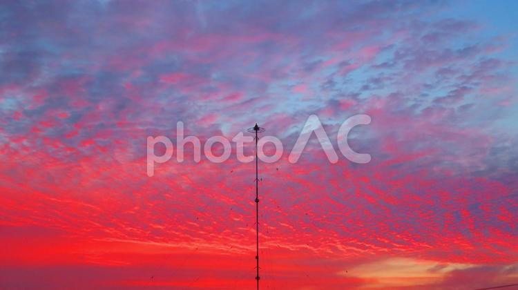 ６月中旬の野田池の朝焼け 背景,朝焼け,日の出の写真素材