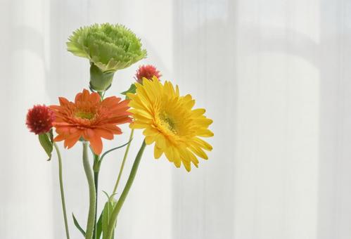 窓際の穏やかな光と綺麗な生花 背景,生花,花の写真素材