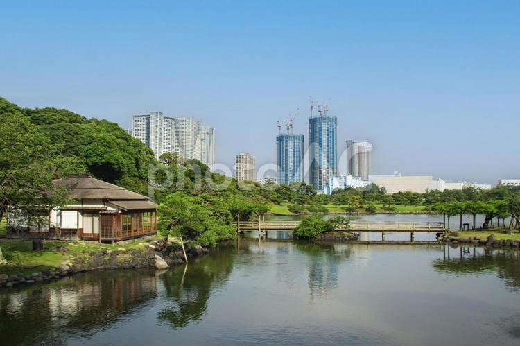 浜離宮恩賜庭園の風景 浜離宮恩賜庭園,潮入の池,大泉水の写真素材