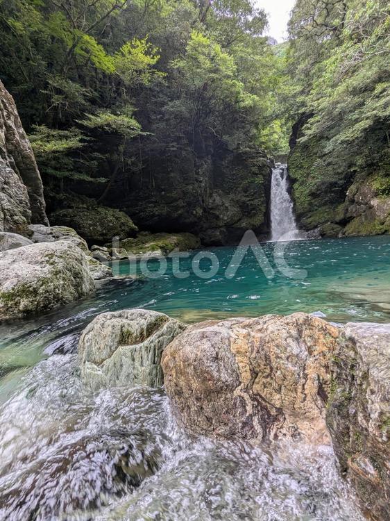 にこ淵を下流側から望む（縦） にこ淵,仁淀川,仁淀ブルーの写真素材