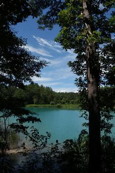 五色沼 五色沼の写真